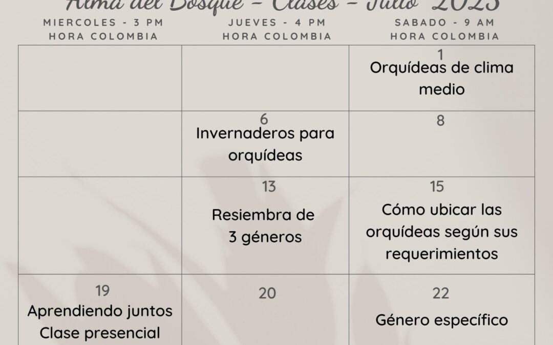 Programación de clases Julio