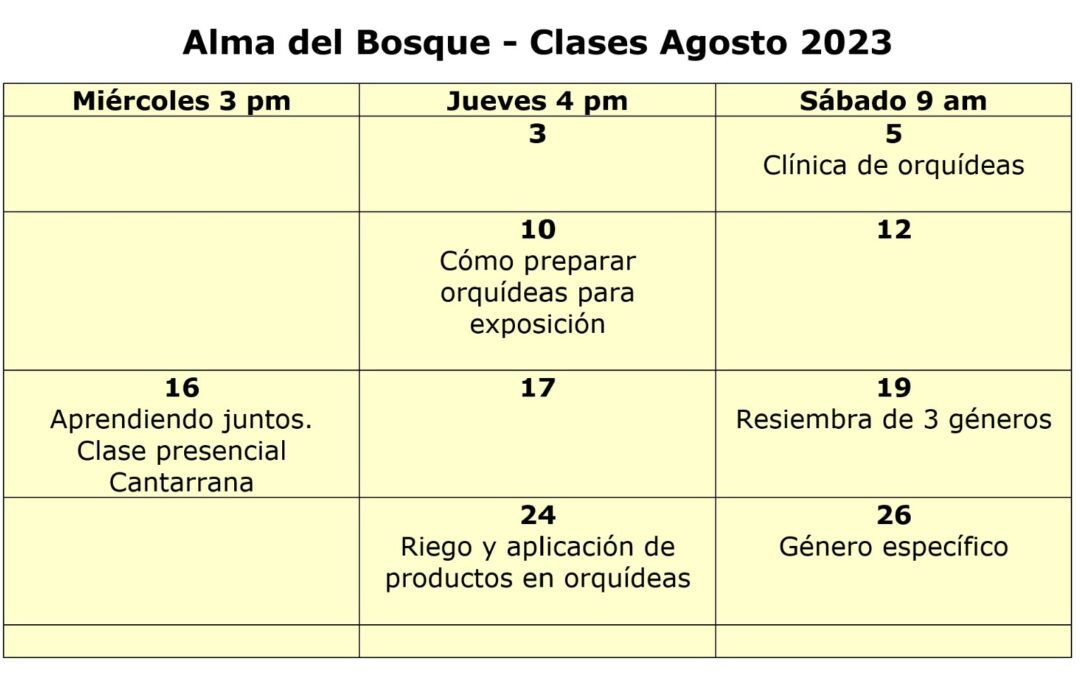 Programación de clases Agosto