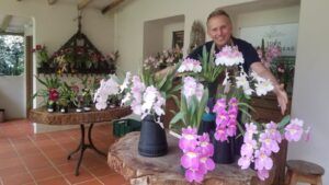 Orquídeas para principiantes
