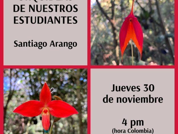 Orquídeas de los estudiantes de Alma del Bosque course image