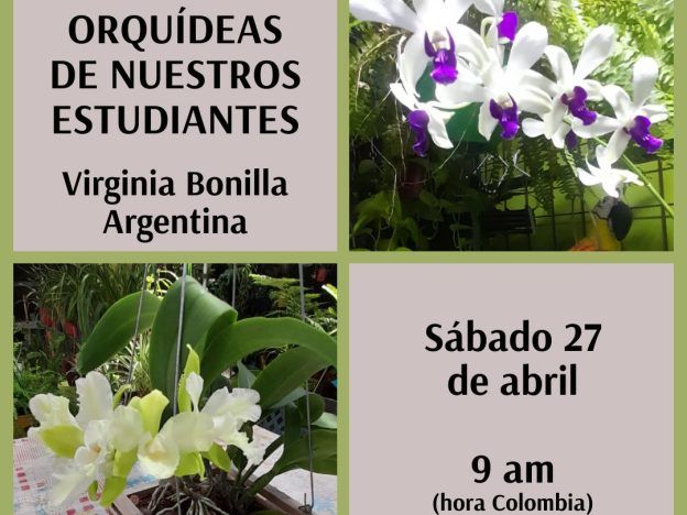 Orquídeas de los estudiantes de Alma del Bosque course image