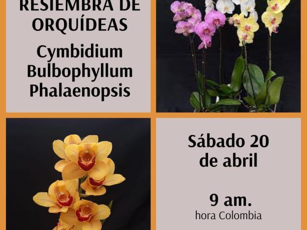 Resiembra de orquídeas - Conferencia course image