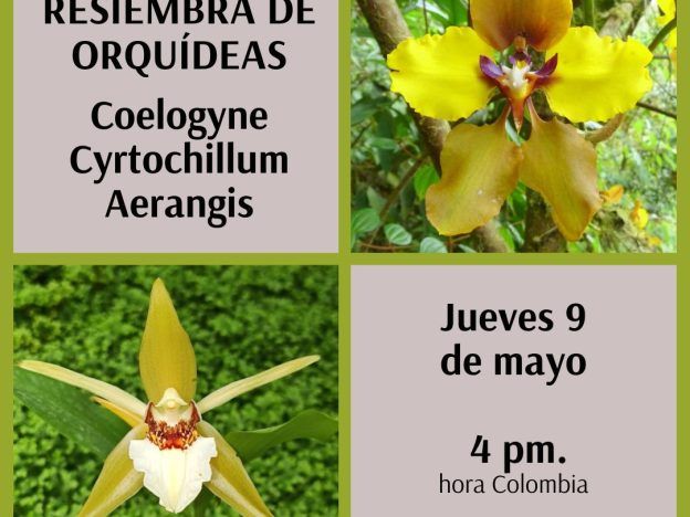 Resiembra de orquídeas - Conferencia course image