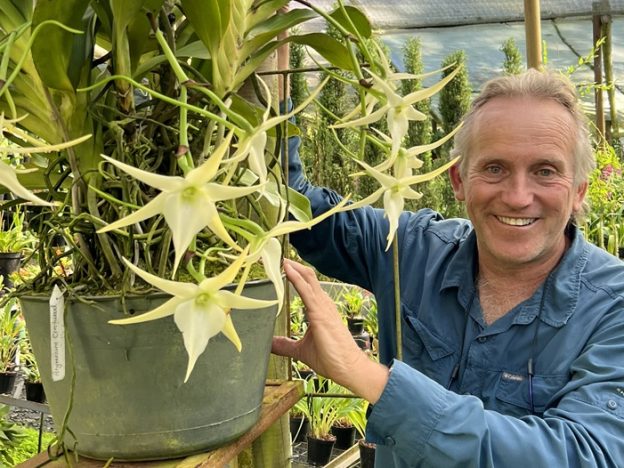 Cultivo de Angraecum course image