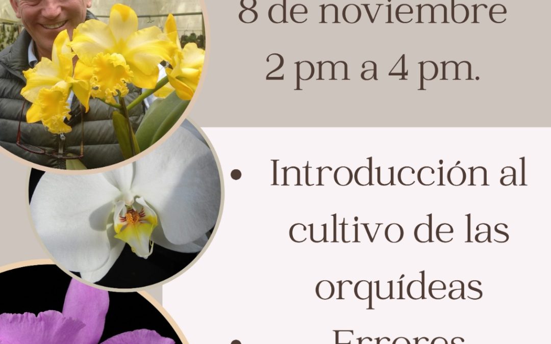 Introducción al cultivo de orquídeas – Taller Virtual
