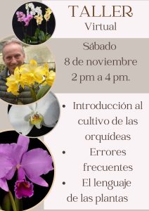 Introducción al cultivo de orquídeas – Taller Virtual