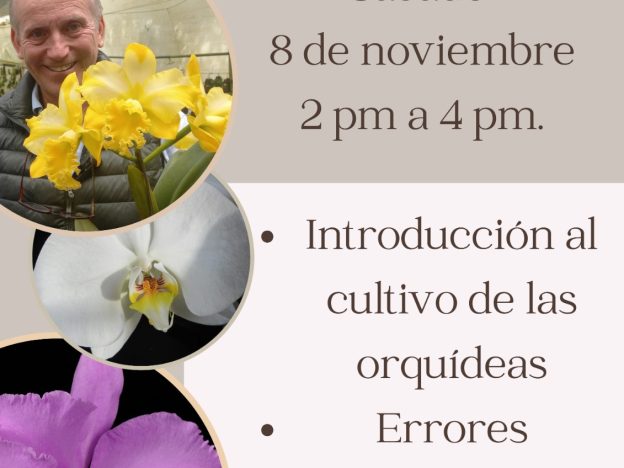 Introducción al cultivo de orquídeas - Taller Virtual course image