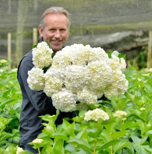 Tour hortensias