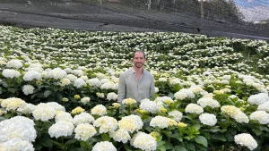 Tour Orquídeas y Hortensias